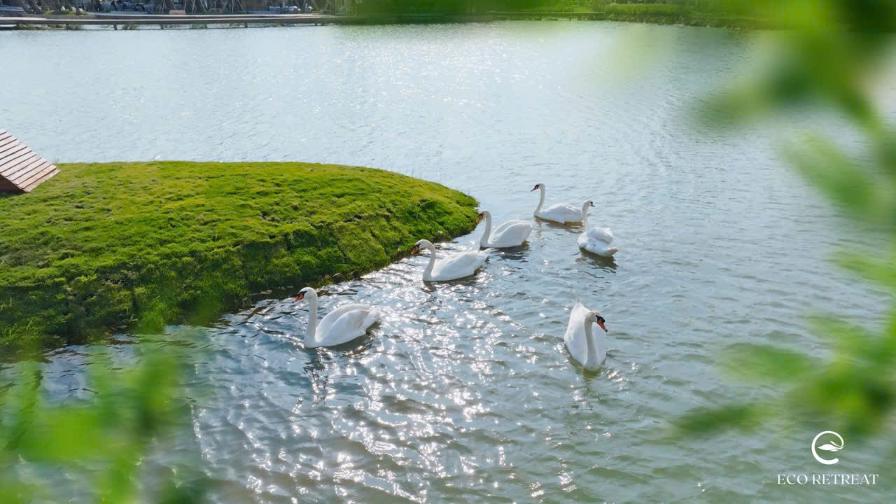 eco-retreat-long-an-ho-thien-nga