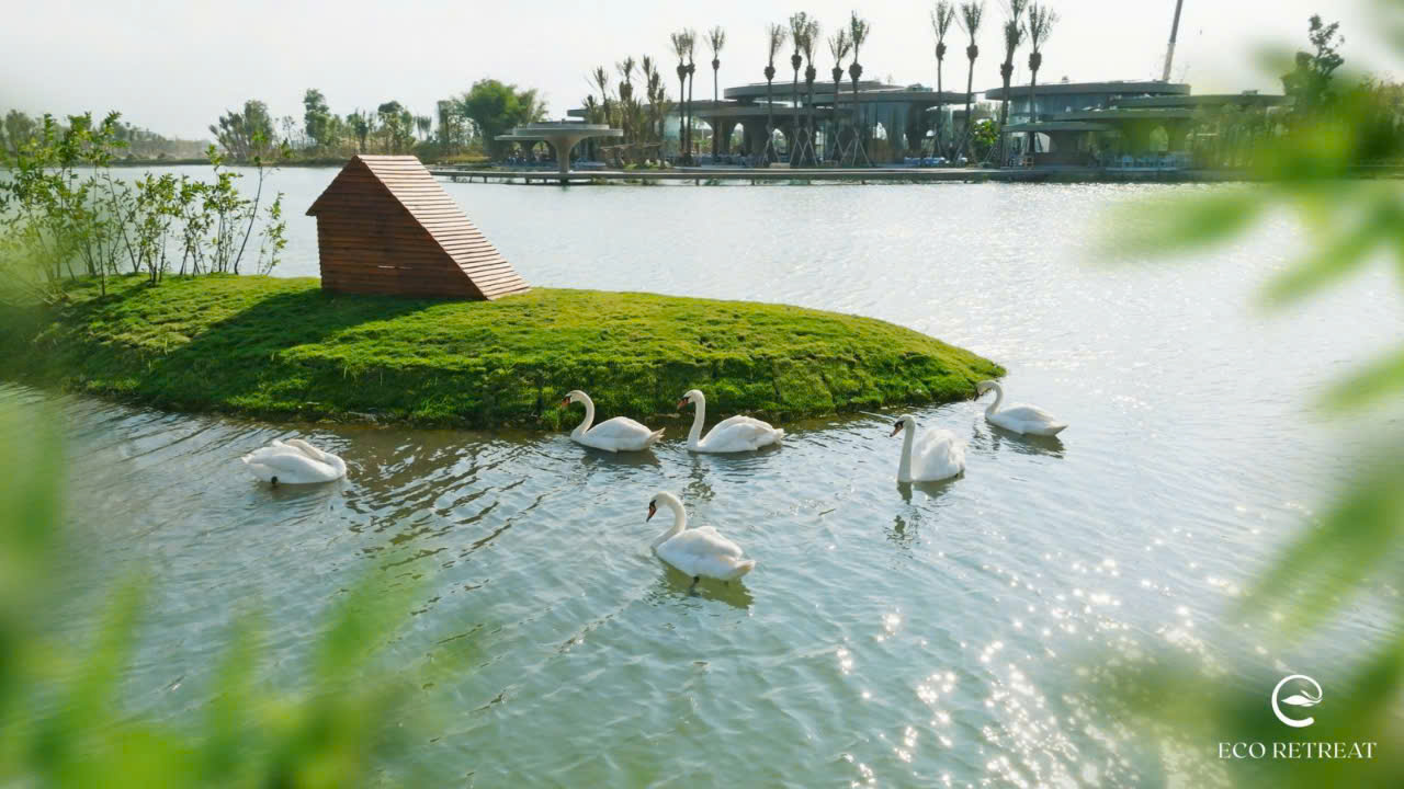 eco-retreat-long-an-ho-thien-nga