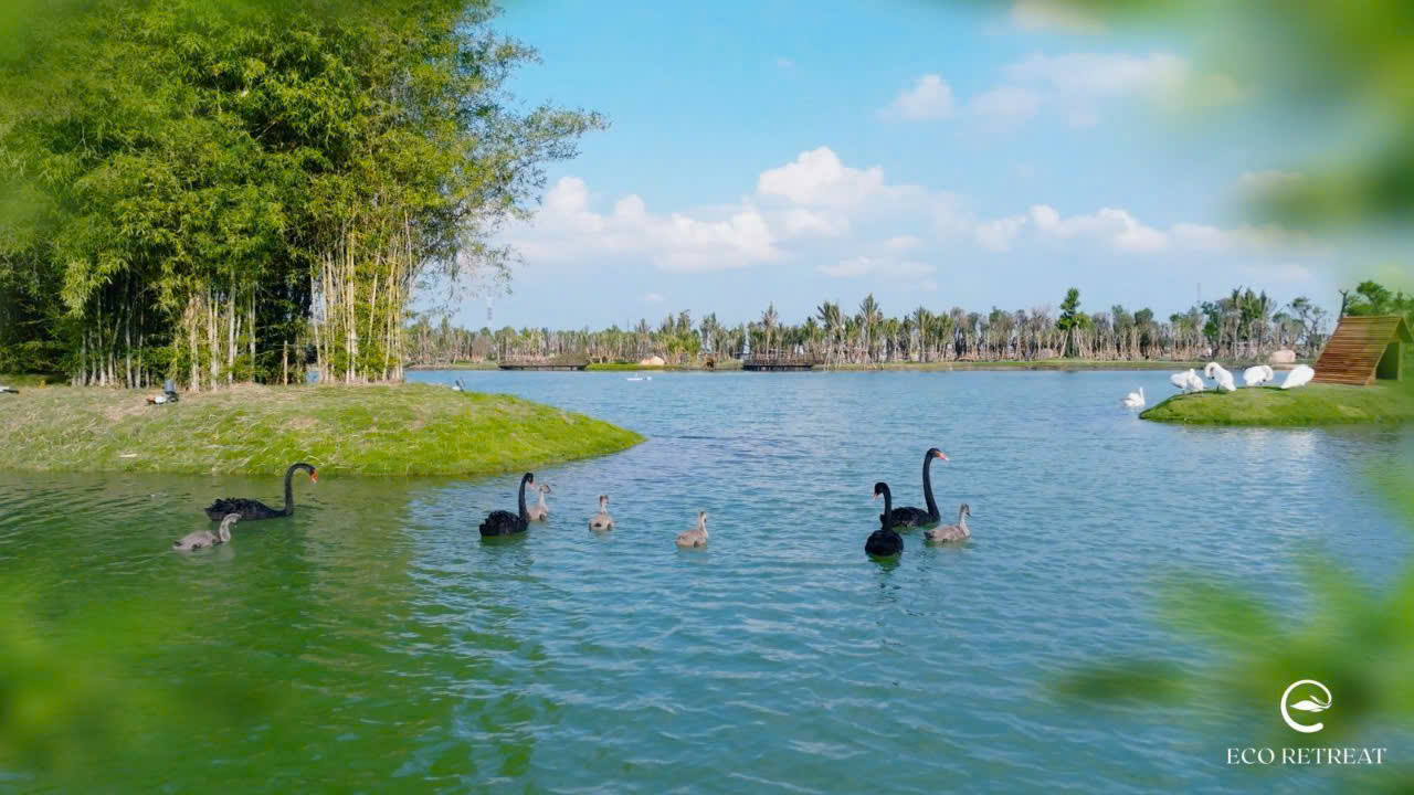 eco-retreat-long-an-ho-thien-nga